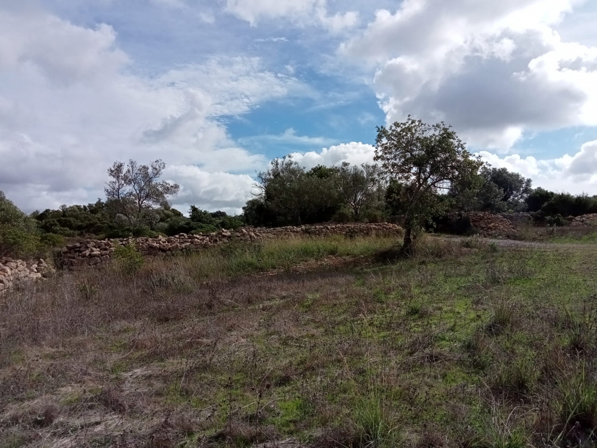 Großes Grundstück mit Ruine, zu verkaufen in Estoi, Algarve_212211