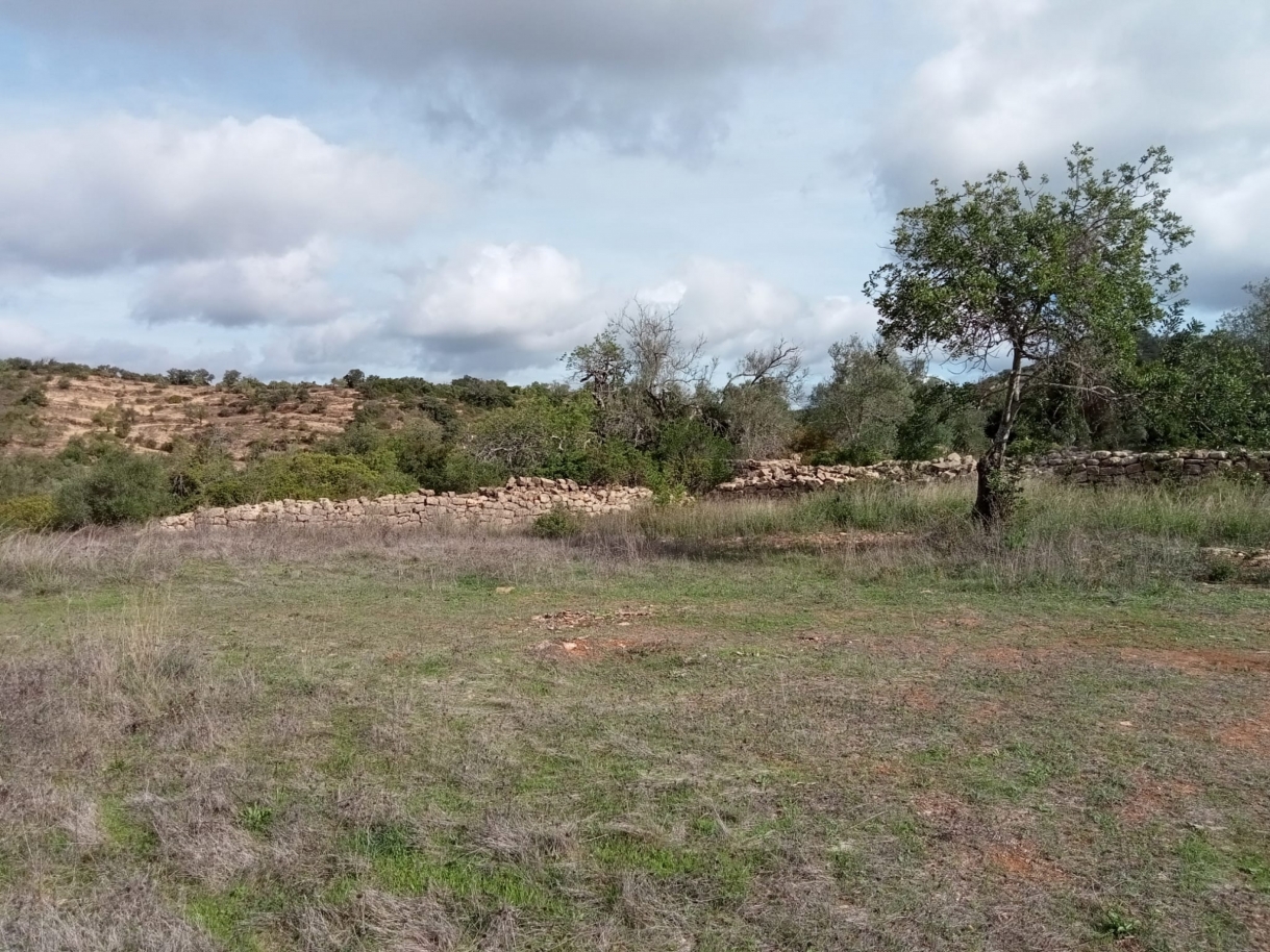 Großes Grundstück mit Ruine, zu verkaufen in Estoi, Algarve_212212