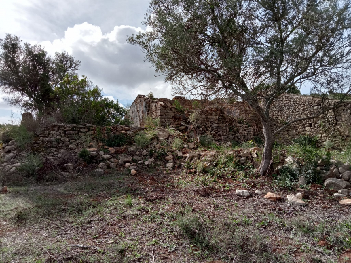 Großes Grundstück mit Ruine, zu verkaufen in Estoi, Algarve_212213