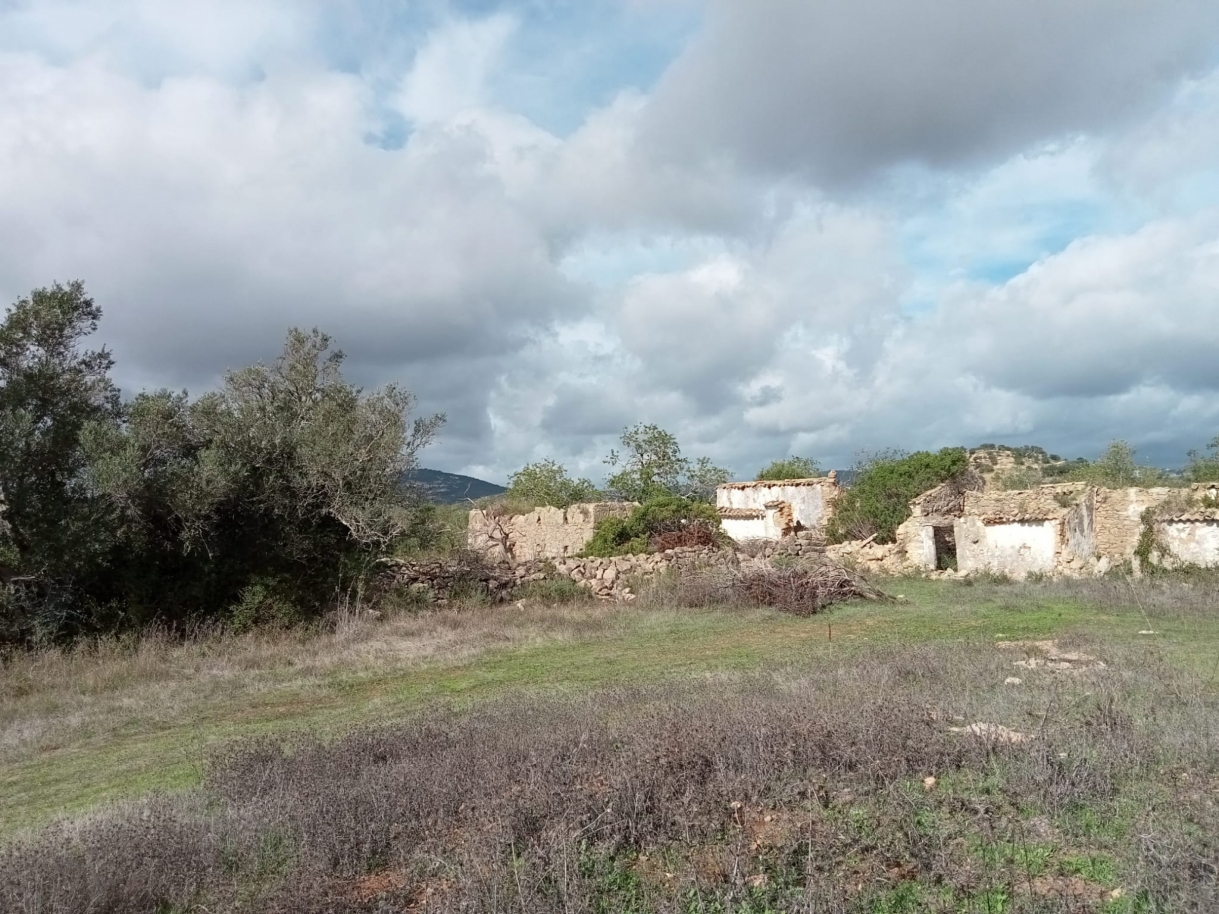 Grand terrain avec ruine, à vendre à Estoi, Algarve_212215