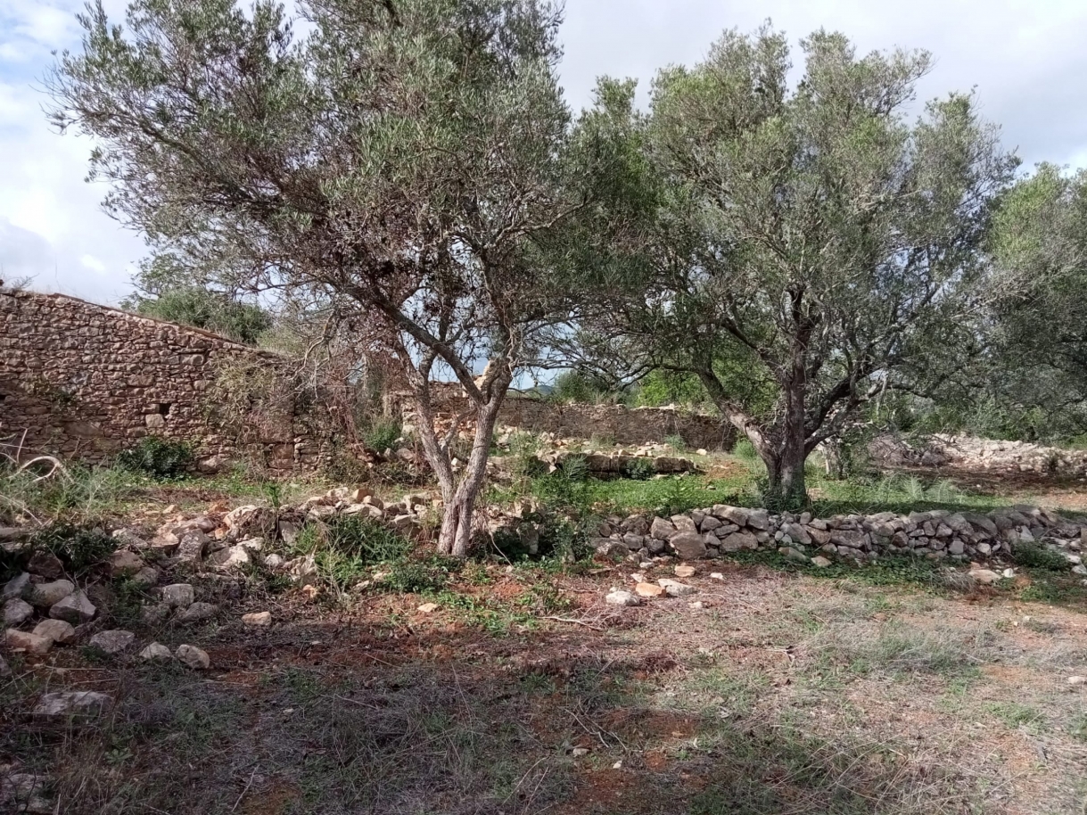 Grand terrain avec ruine, à vendre à Estoi, Algarve_212216