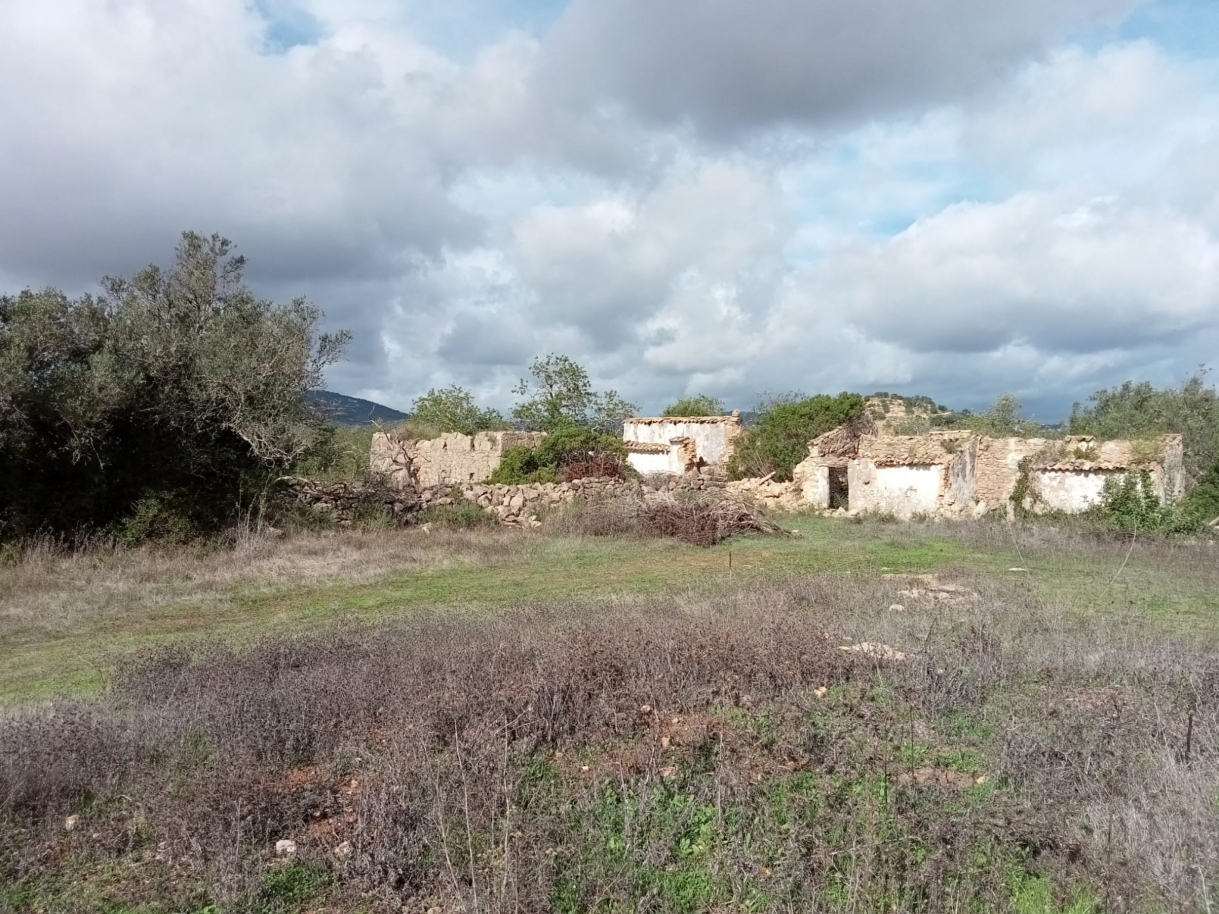 Grand terrain avec ruine, à vendre à Estoi, Algarve_212217