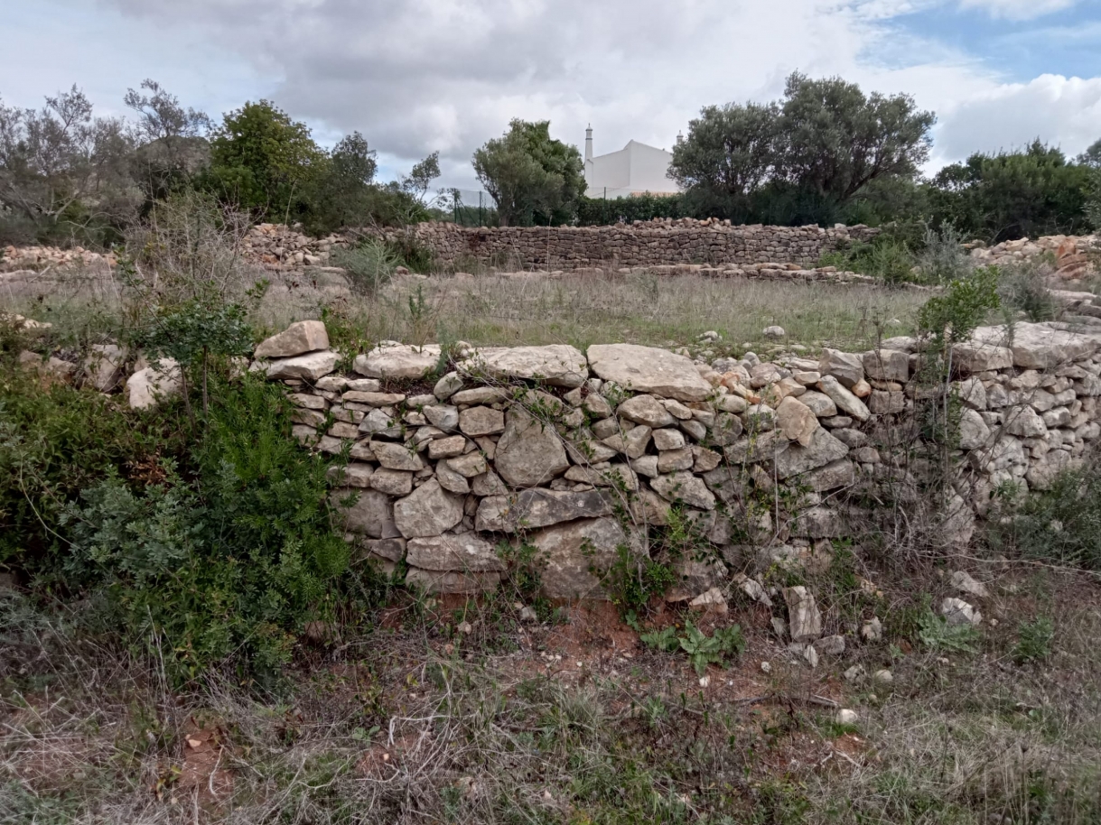 Grand terrain avec ruine, à vendre à Estoi, Algarve_212218