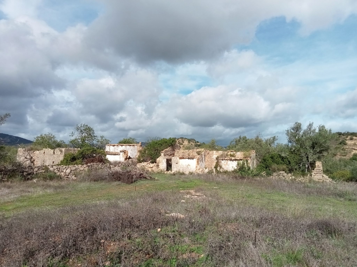 Grand terrain avec ruine, à vendre à Estoi, Algarve_212220