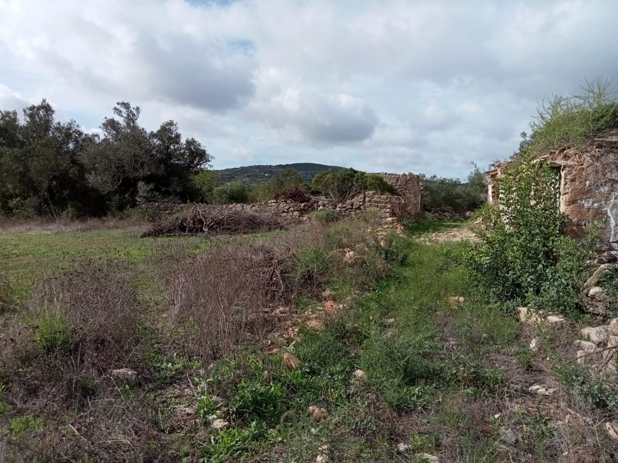 Großes Grundstück mit Ruine, zu verkaufen in Estoi, Algarve_212221