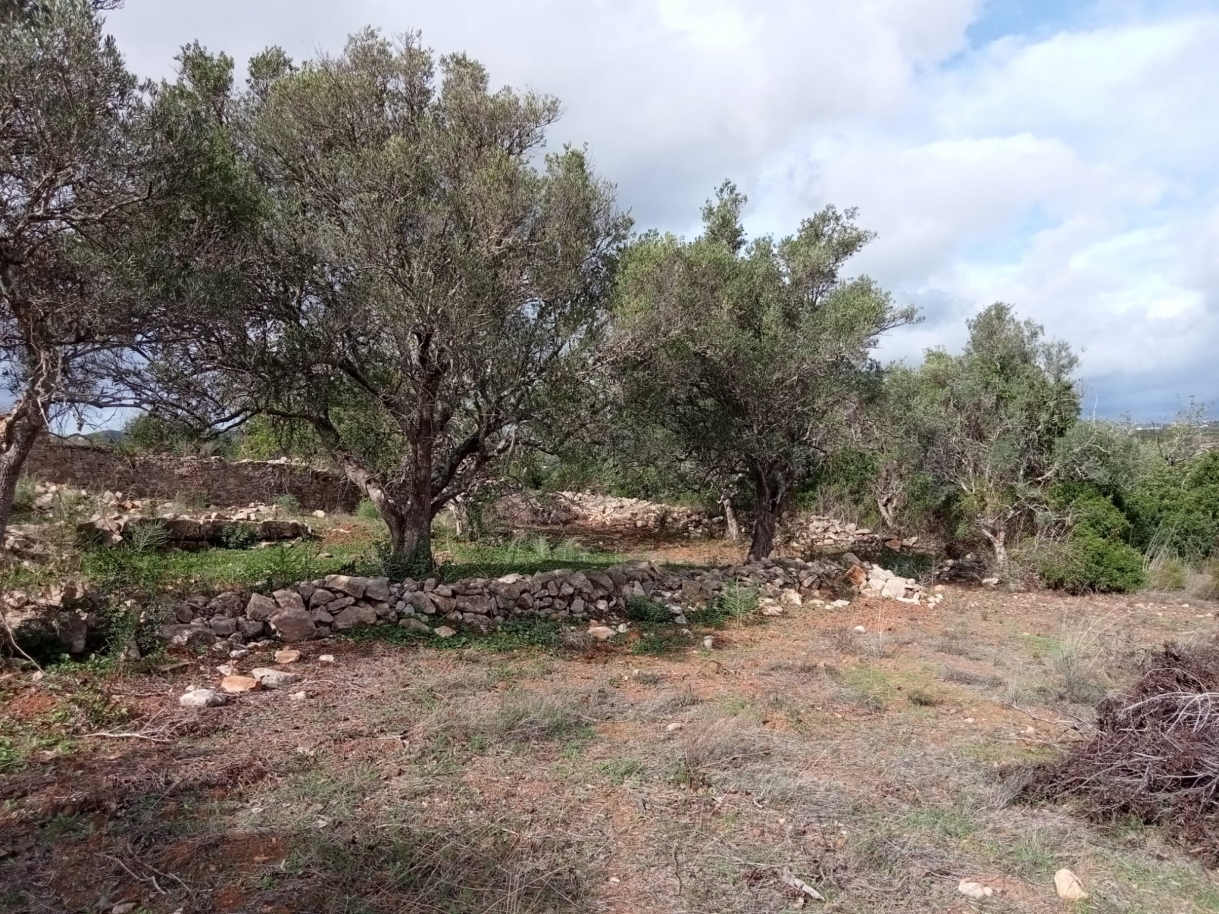 Großes Grundstück mit Ruine, zu verkaufen in Estoi, Algarve_212223