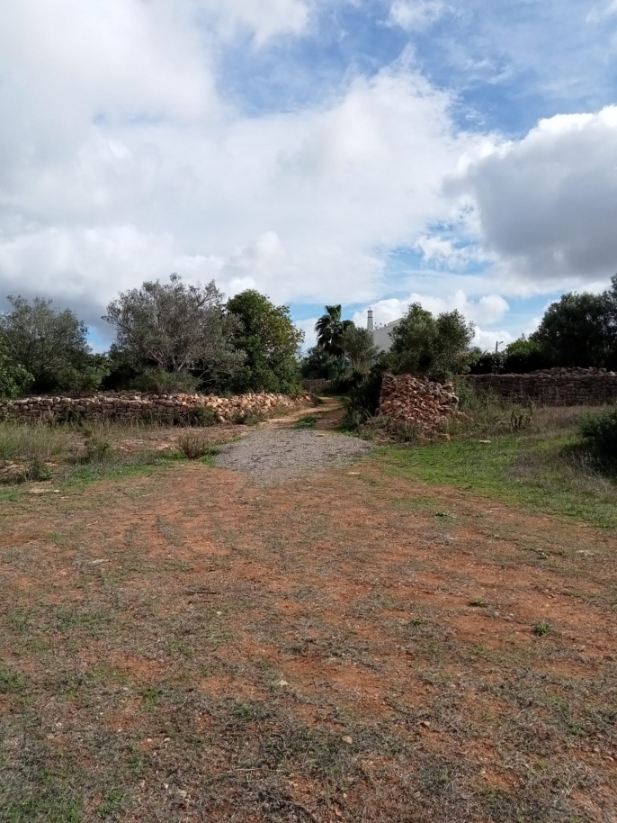 Gran parcela de tierra con la ruina, en venta en Estoi, Algarve_212225