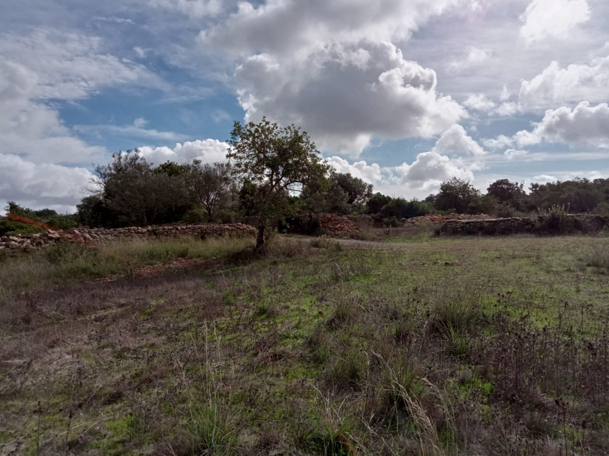 Gran parcela de tierra con la ruina, en venta en Estoi, Algarve_212229