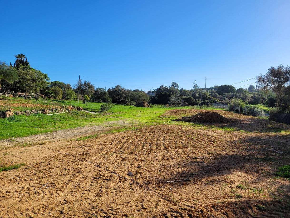 Terreno para construção de moradia V5, para venda em Lagoa, Algarve_212868