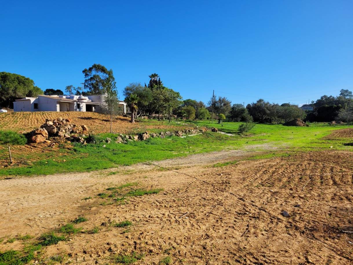 Terreno para construção de moradia V5, para venda em Lagoa, Algarve_212876