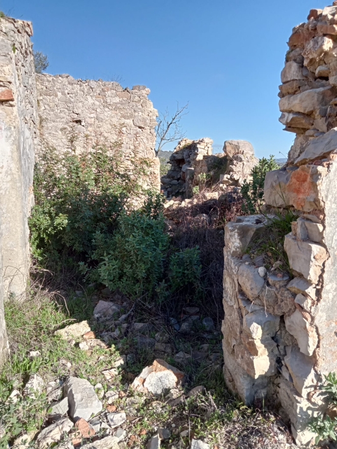 Large plot with ruin for sale in São Brás de Alportel, Algarve_214528