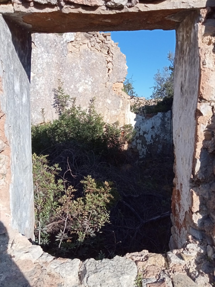Amplo terreno com ruína para venda em São Brás de Alportel, Algarve_214529