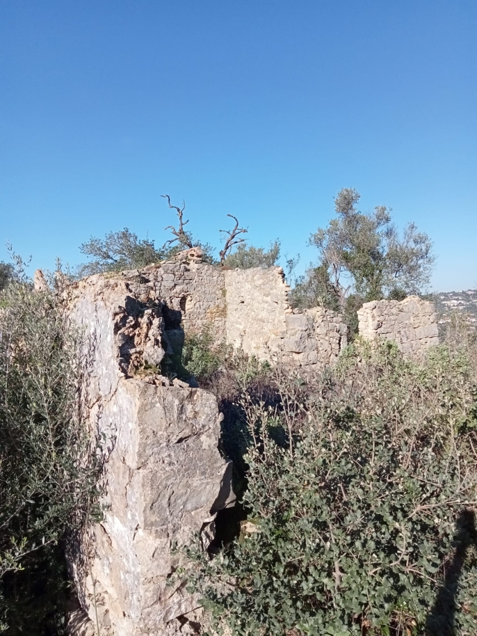 Large plot with ruin for sale in São Brás de Alportel, Algarve_214530