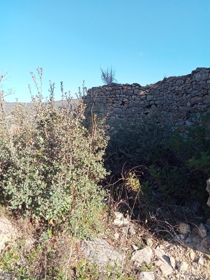 Grand terrain avec ruine à vendre à São Brás de Alportel, Algarve_214531