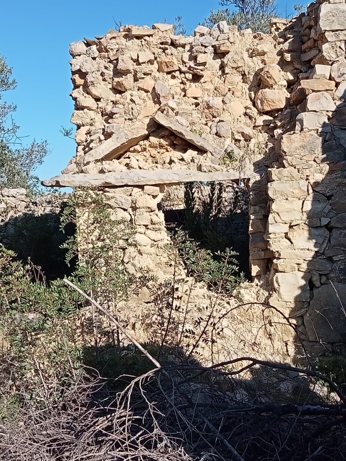 Grand terrain avec ruine à vendre à São Brás de Alportel, Algarve_214532
