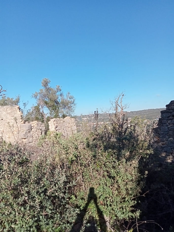 Grand terrain avec ruine à vendre à São Brás de Alportel, Algarve_214534