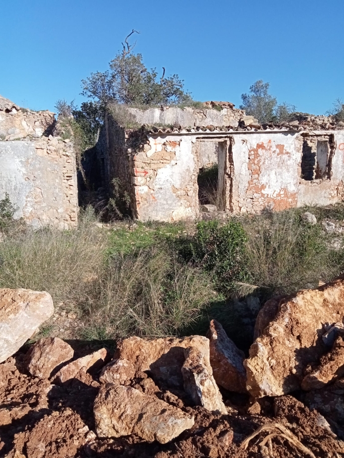 Grand terrain avec ruine à vendre à São Brás de Alportel, Algarve_214547
