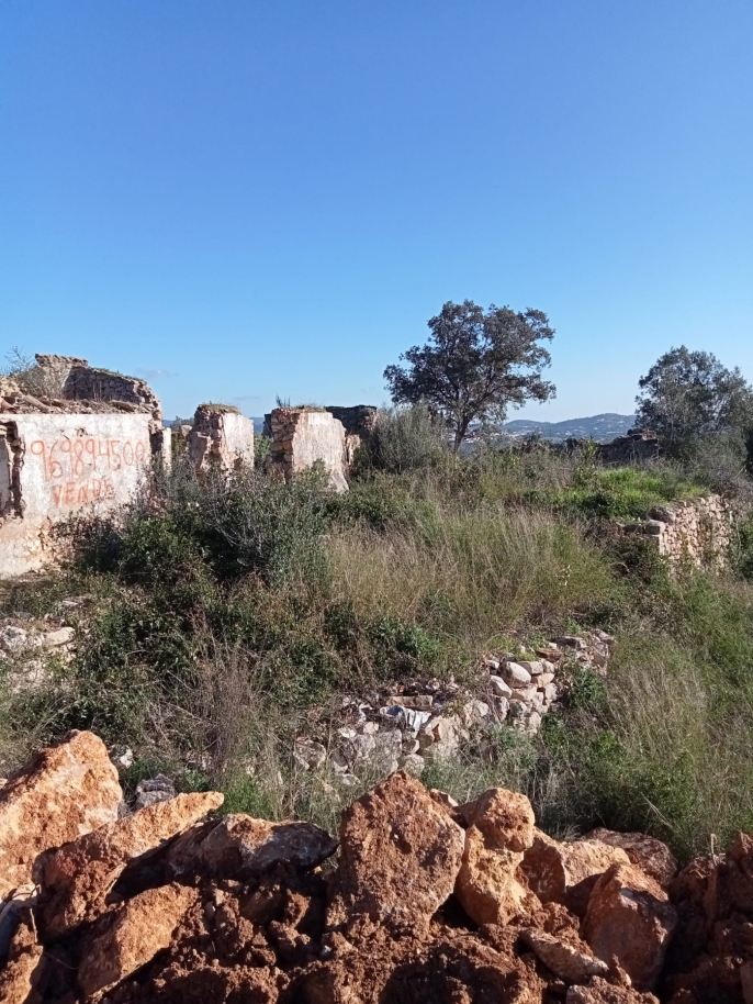 Amplo terreno com ruína para venda em São Brás de Alportel, Algarve_214548