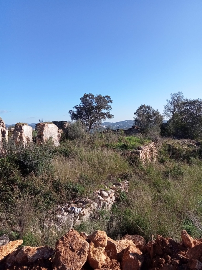 Großes Grundstück mit Ruine zu verkaufen in São Brás de Alportel, Algarve_214549