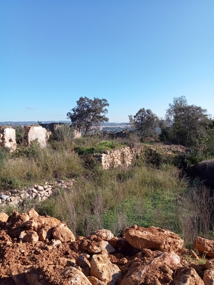 Gran parcela con ruina en venta en São Brás de Alportel, Algarve_214550