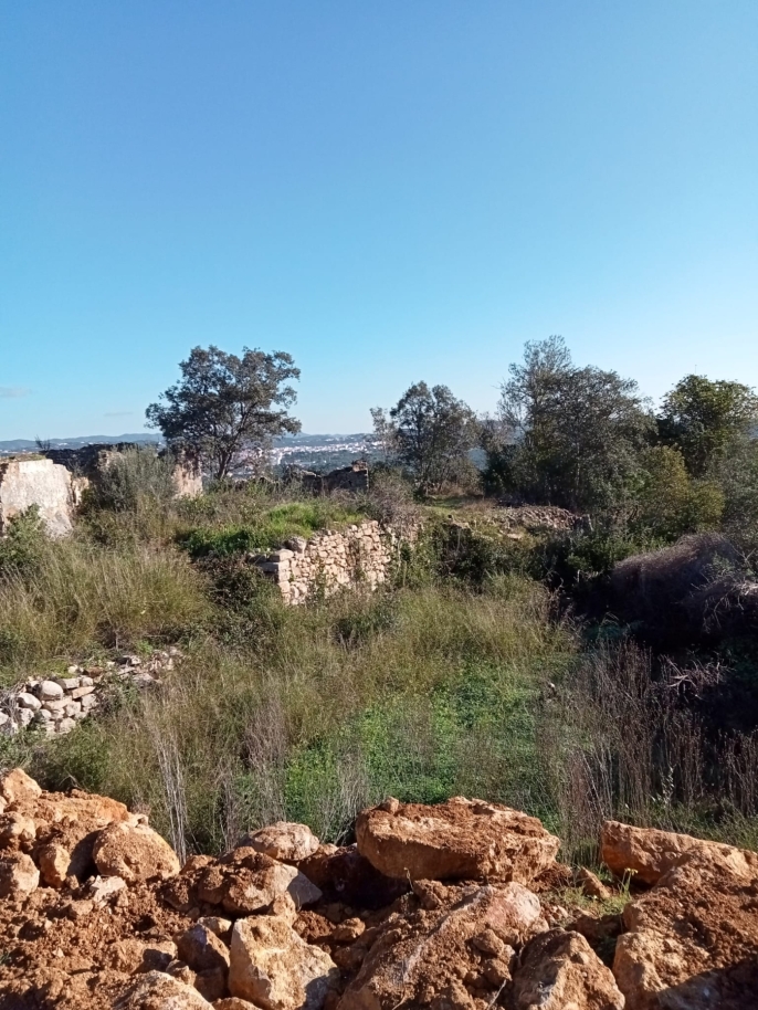 Großes Grundstück mit Ruine zu verkaufen in São Brás de Alportel, Algarve_214551