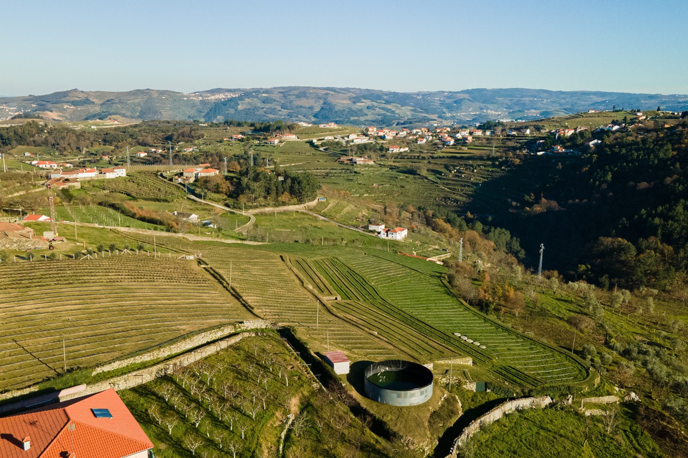 Grundstück zu verkaufen in Lamego, Douro Valley, Portugal_218920