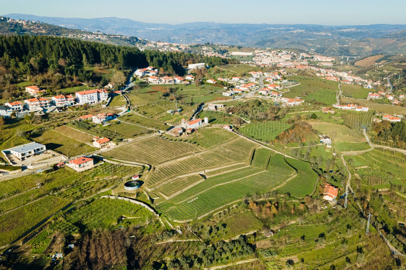 Grundstück zu verkaufen in Lamego, Douro Valley, Portugal_218923