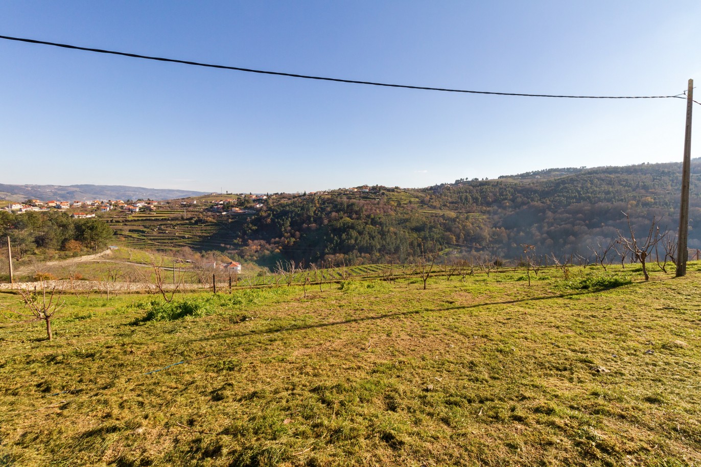 Grundstück zu verkaufen in Lamego, Douro Valley, Portugal_218928