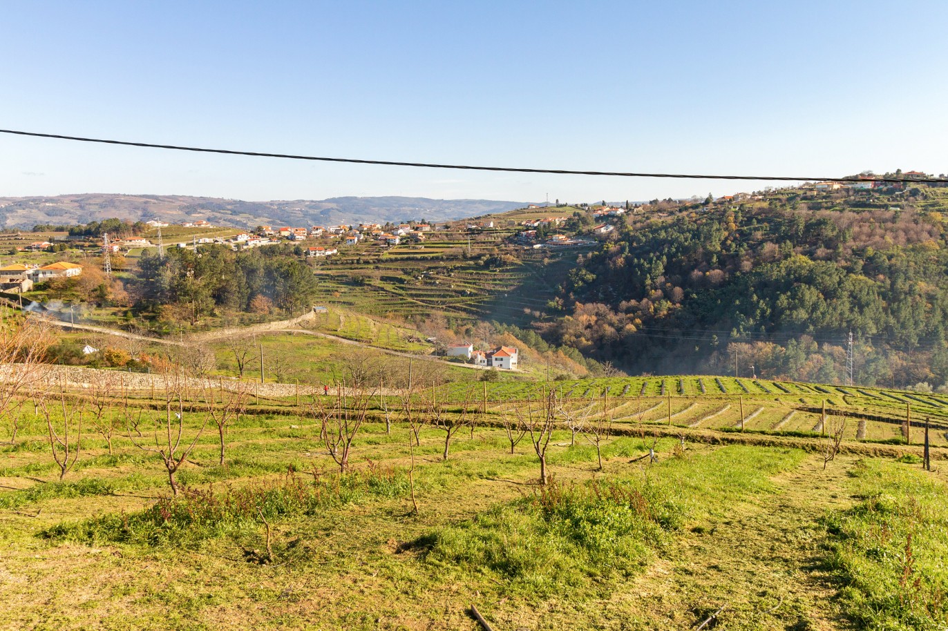 Grundstück zu verkaufen in Lamego, Douro Valley, Portugal_218929