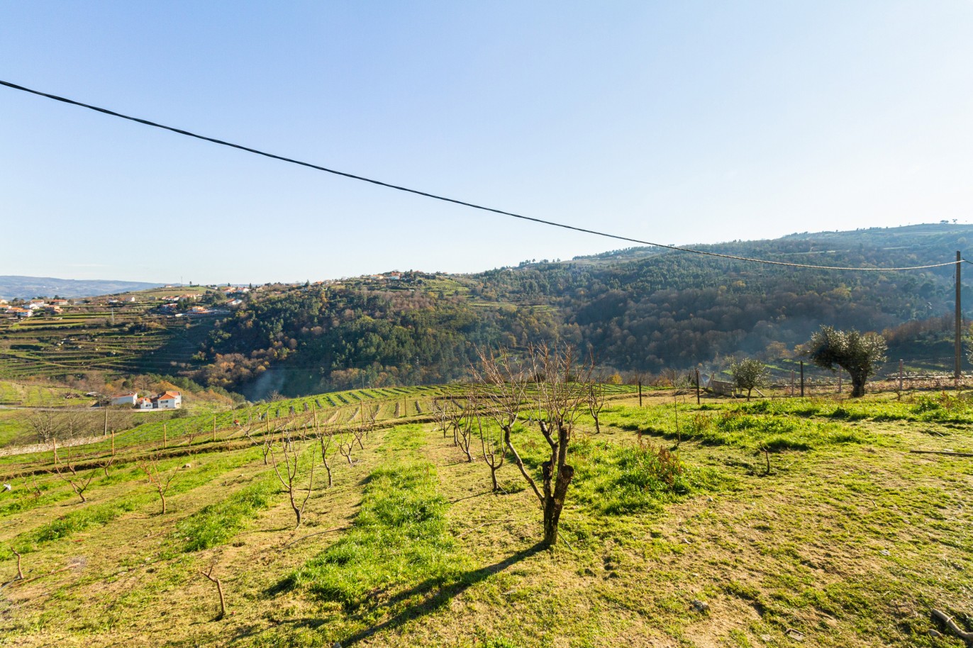 Grundstück zu verkaufen in Lamego, Douro Valley, Portugal_218930