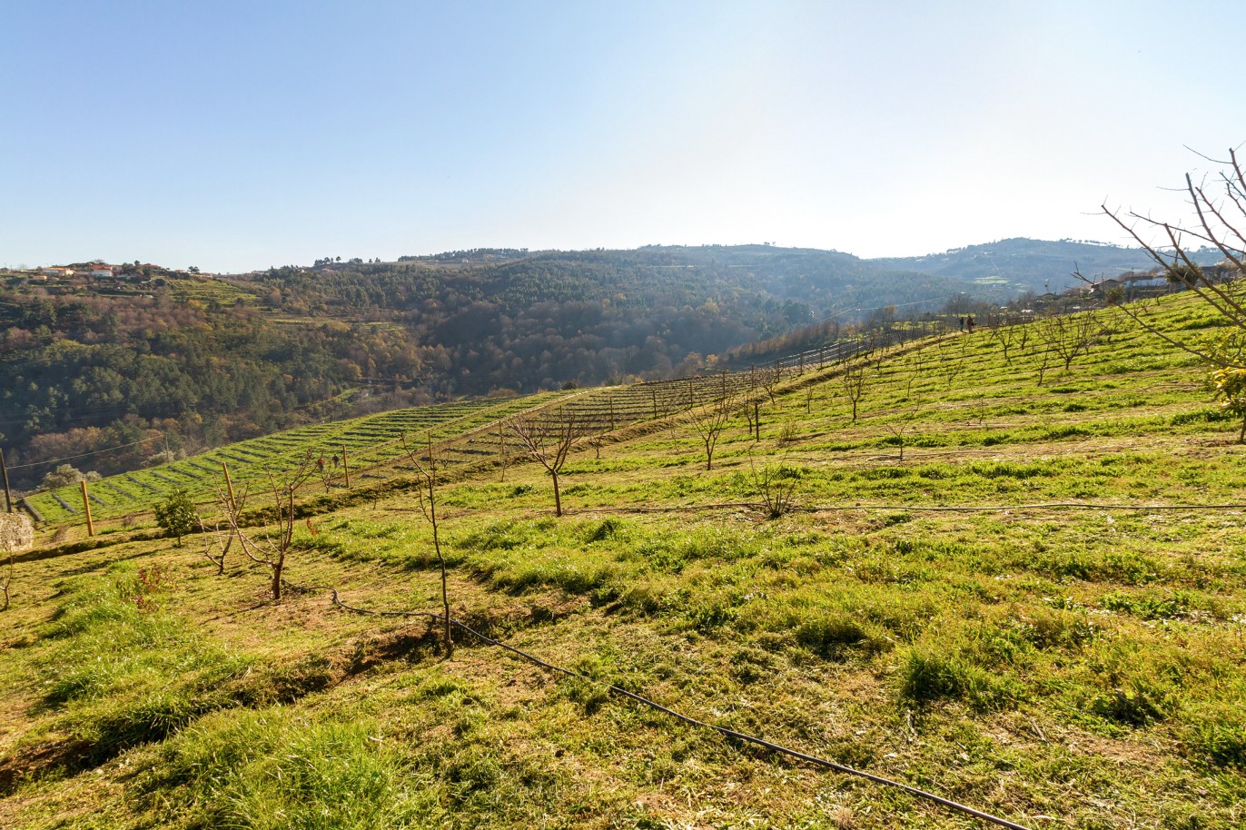 Grundstück zu verkaufen in Lamego, Douro Valley, Portugal_218931