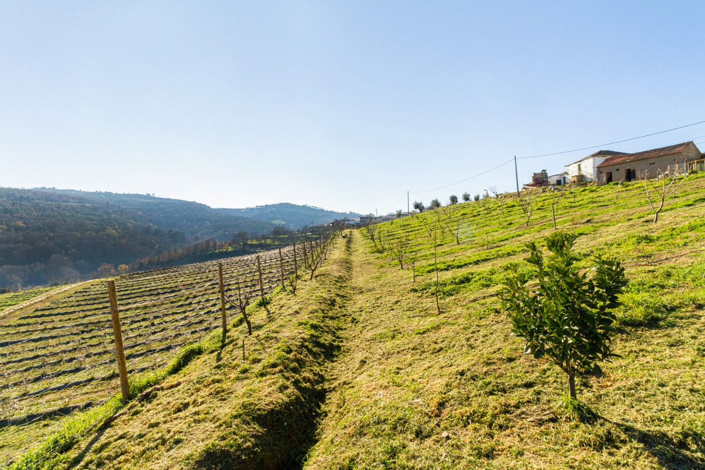 Grundstück zu verkaufen in Lamego, Douro Valley, Portugal_218934