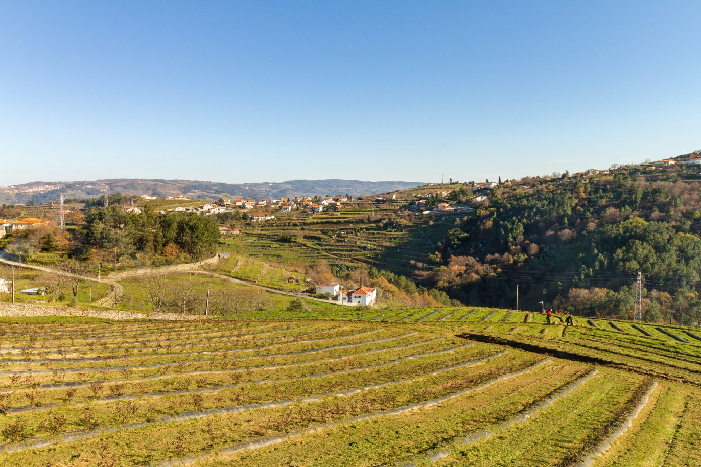 Grundstück zu verkaufen in Lamego, Douro Valley, Portugal_218938