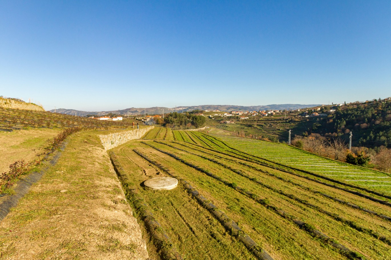 Grundstück zu verkaufen in Lamego, Douro Valley, Portugal_218939