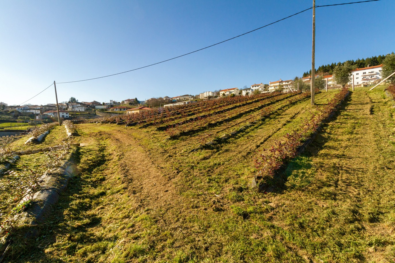 Grundstück zu verkaufen in Lamego, Douro Valley, Portugal_218941