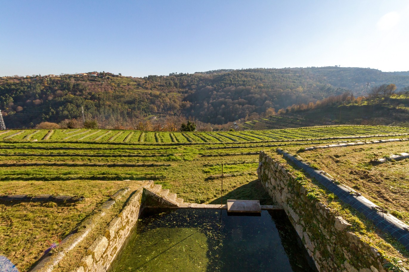 Grundstück zu verkaufen in Lamego, Douro Valley, Portugal_218942