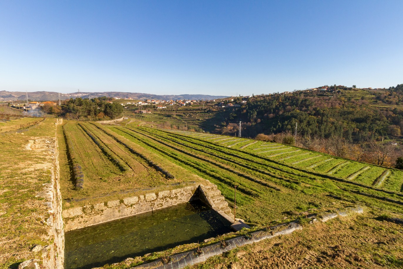 Grundstück zu verkaufen in Lamego, Douro Valley, Portugal_218943