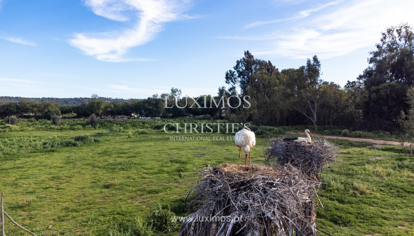 Farm/Ranch/Plantation's Image 13
