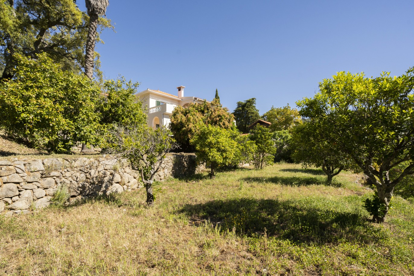 Villa de 5 chambres avec piscine, à vendre, à Monchique, Algarve_222836