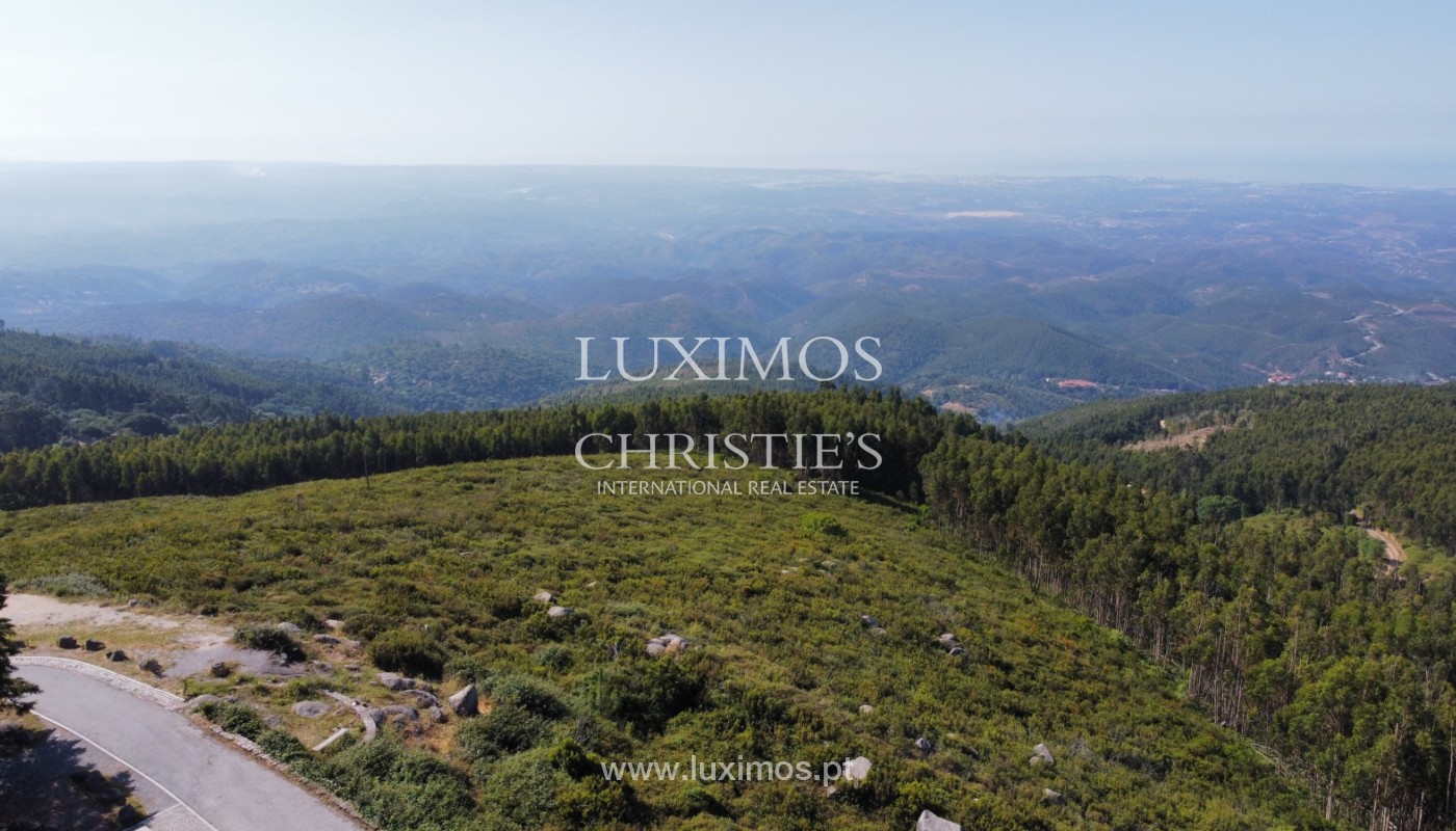 Land/Vacant Land's Image 9