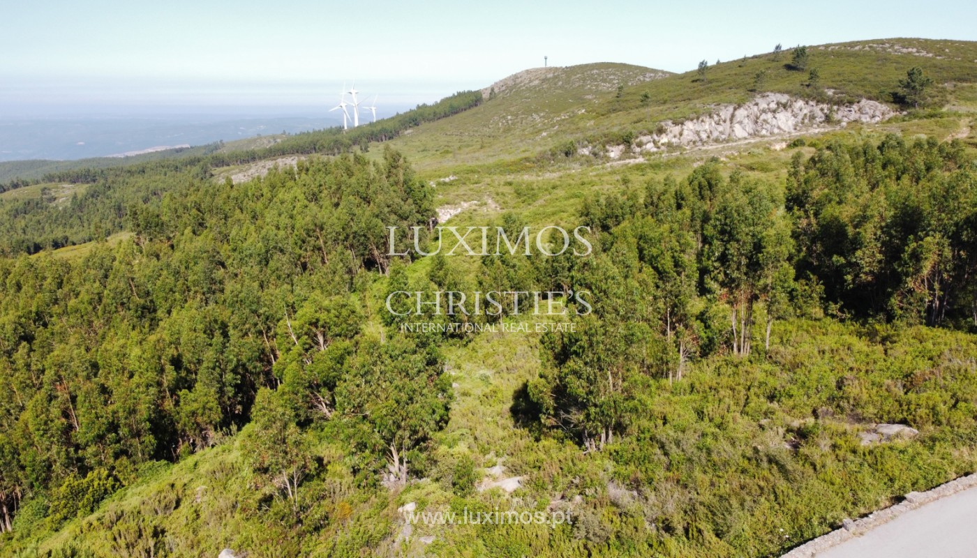 Land/Vacant Land's Image 10