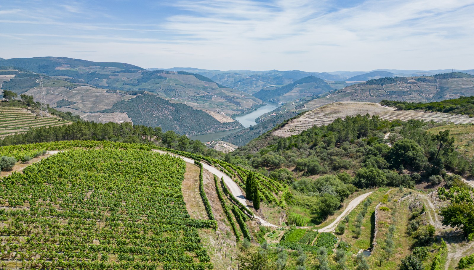 Domaine viticole, à vendre, Valée du Douro, Portugal_231005