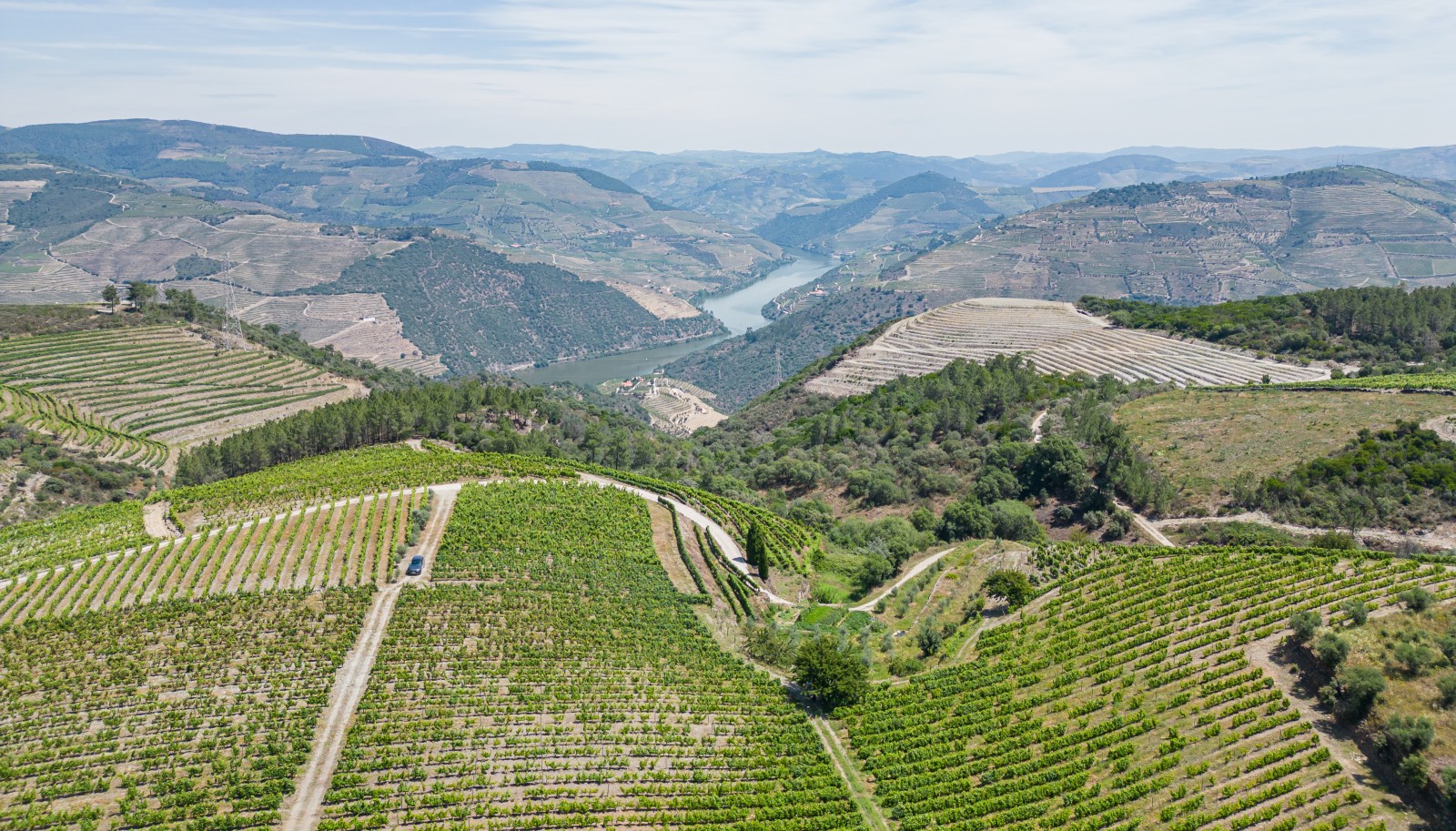 Domaine viticole, à vendre, Valée du Douro, Portugal_231007