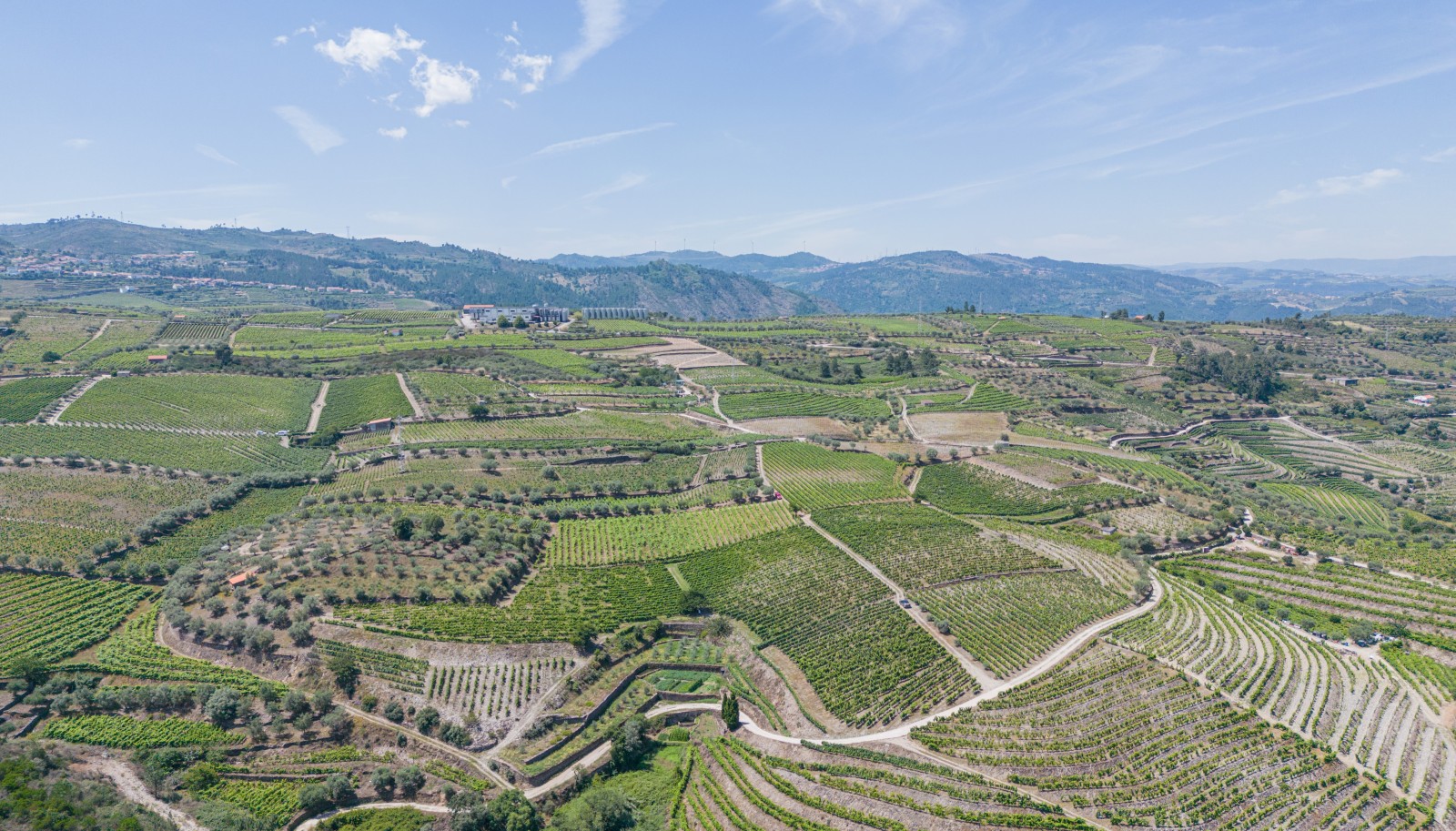 Vineyard, for sale, in Adorigo, in Douro Valley, Portugal_231008