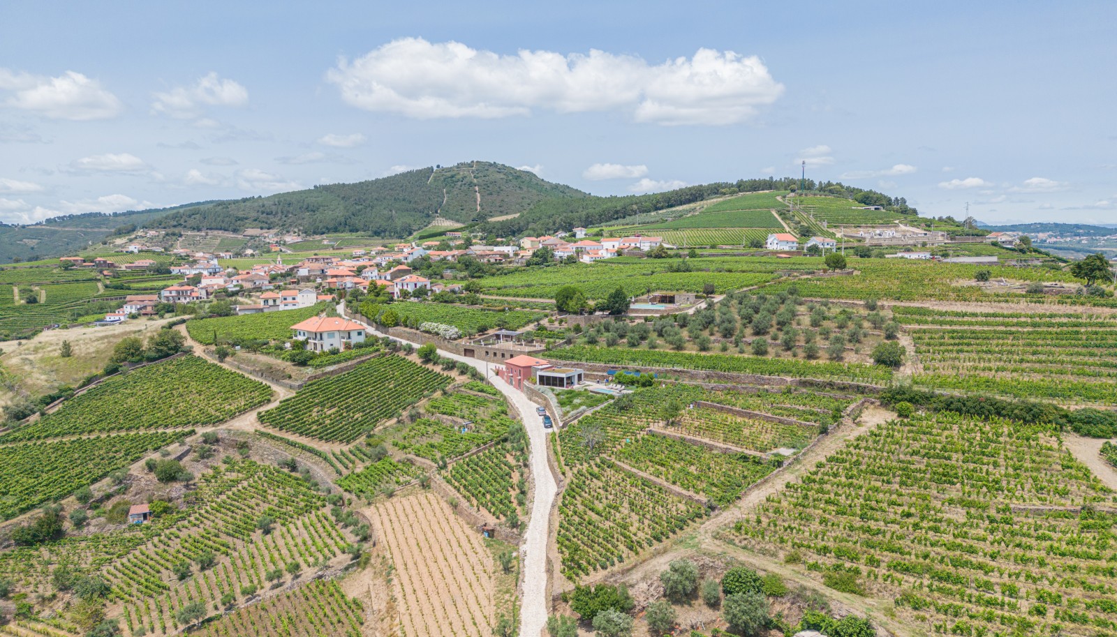 Grundstück mit Weinbergen und Schwimmbad, in Provesende, Weinregion Alto Douro, Portugal_231244
