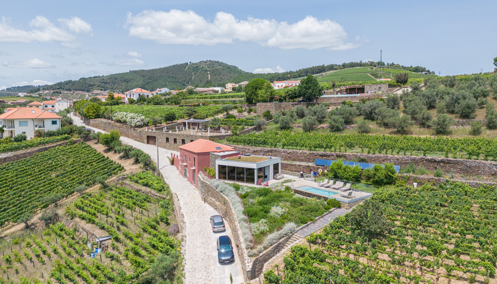 Property with vineyards and swimming pool, in Provesende, Douro Valley, Portugal_231248