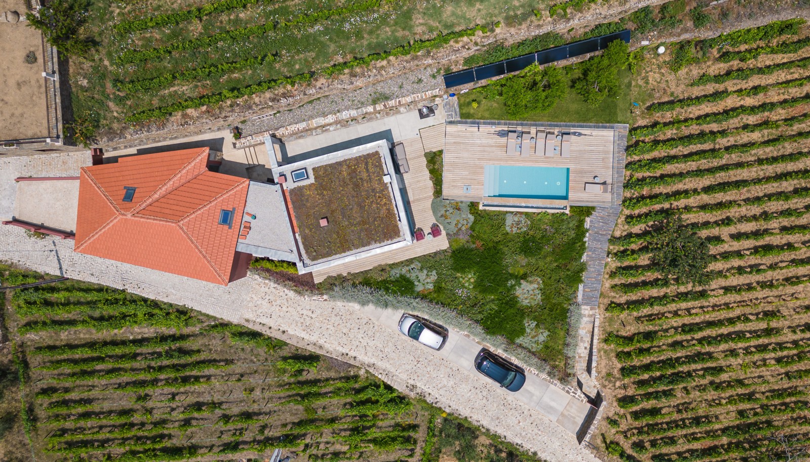 Grundstück mit Weinbergen und Schwimmbad, in Provesende, Weinregion Alto Douro, Portugal_231278