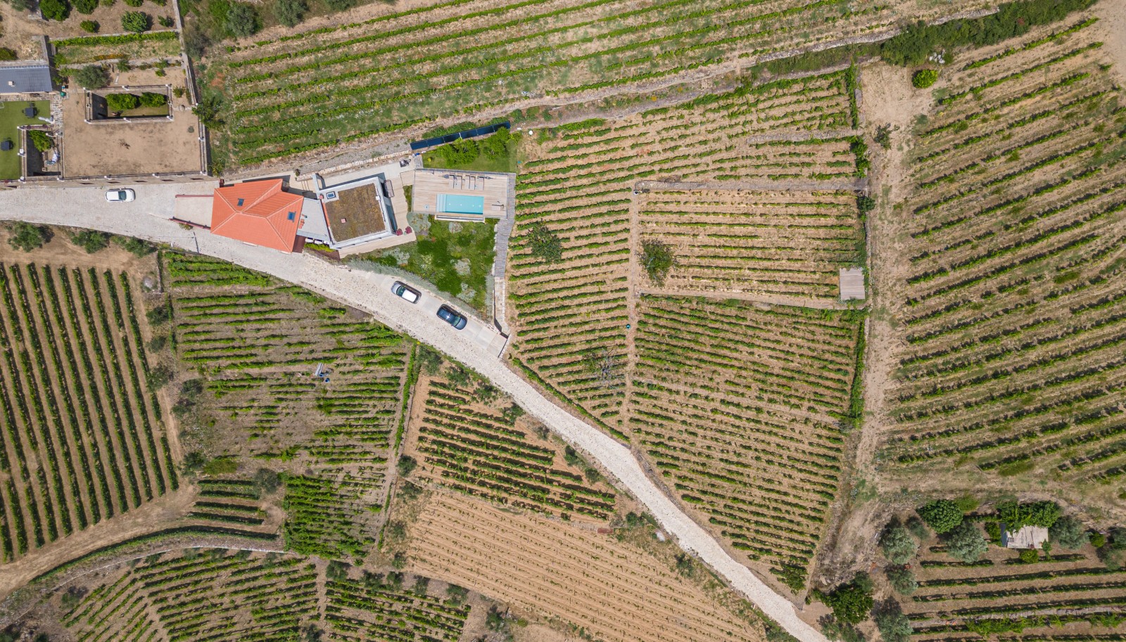 Grundstück mit Weinbergen und Schwimmbad, in Provesende, Weinregion Alto Douro, Portugal_231281