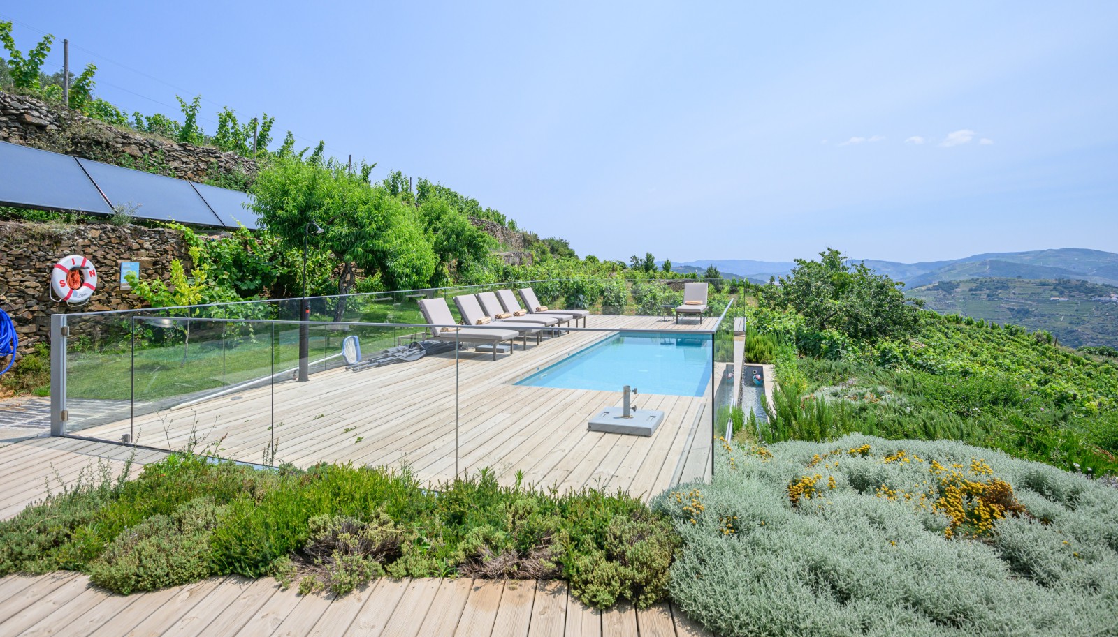 Grundstück mit Weinbergen und Schwimmbad, in Provesende, Weinregion Alto Douro, Portugal_231301