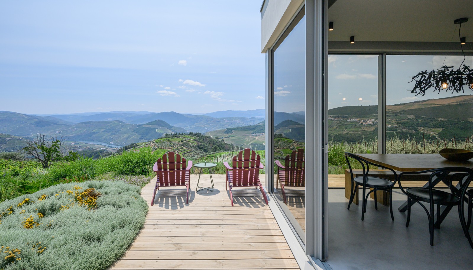 Property with vineyards and swimming pool, in Provesende, Douro Valley, Portugal_231302